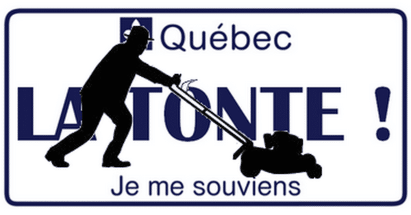 Robot loisir R²D² - Concessionnaire en robots tondeuses photo 3