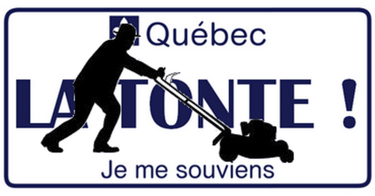 Robot loisir R²D² - Concessionnaire en robots tondeuses photo 5