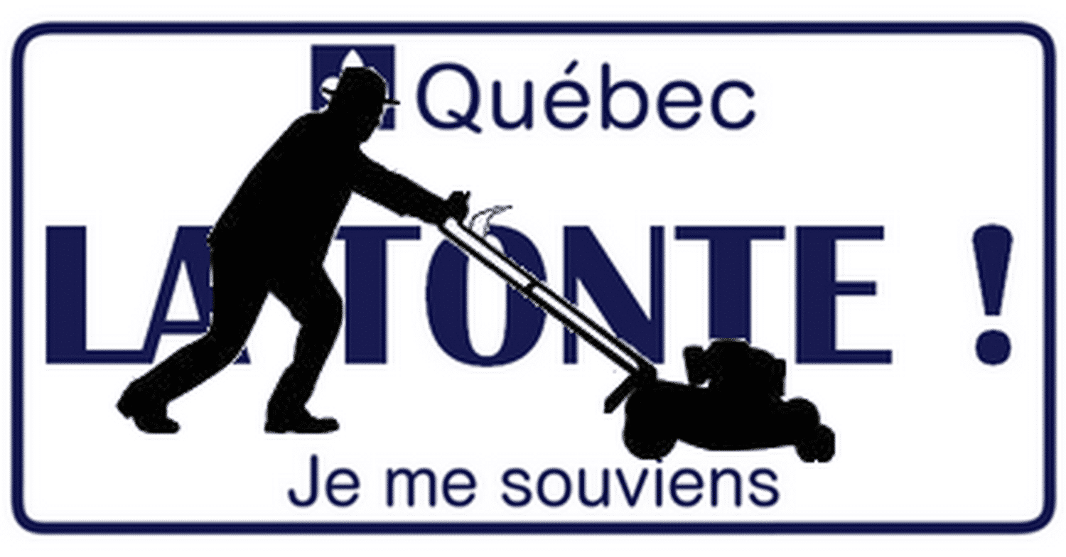 Robot loisir R²D² - Concessionnaire en robots tondeuses photo 6